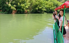 牙签和筷子惩罚隐私的作文